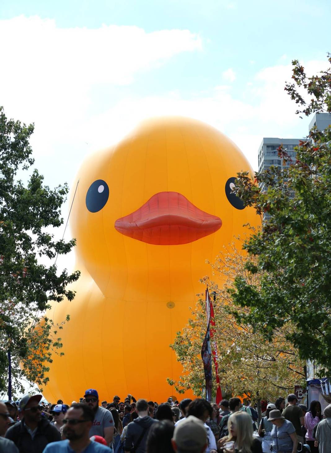 Kente gelen turistler, onu görünce gözlerine inanamadı! Parmakla gösterip endişeyle baktılar 4